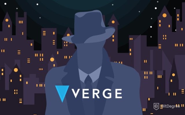 Verge-1.jpg