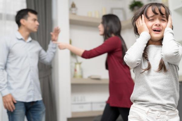 violencia_domestica_que_es_tipos_causas_y_consecuencias_4684_600.jpg