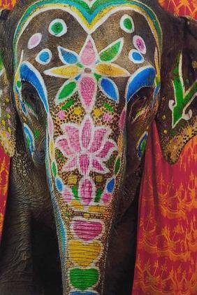 Elefante.jpg