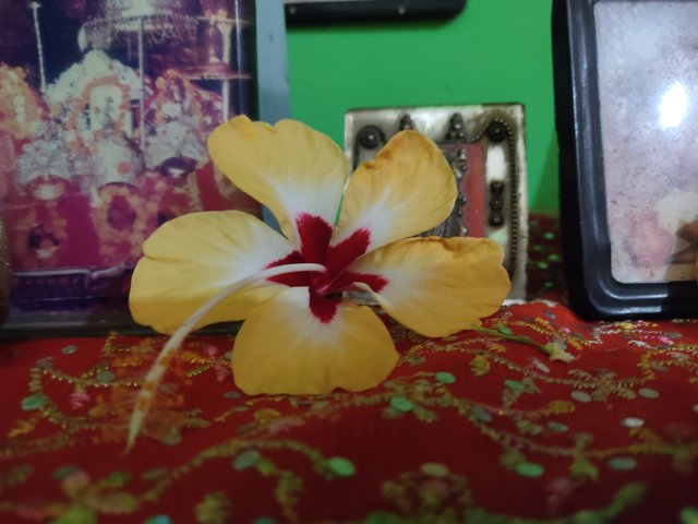 IMG_20230313_101456.jpg