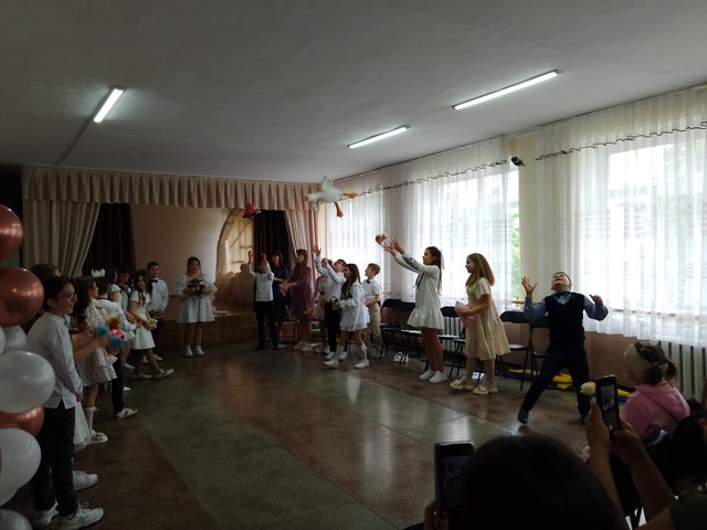 IMG_20250529_110327.jpg