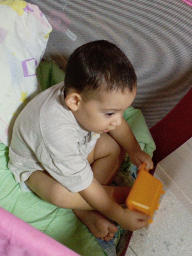 IMG_20250313_115548.jpg