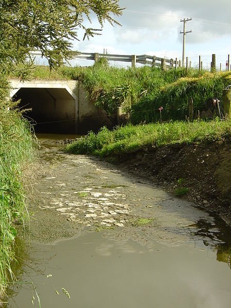 450px-Water_pollution_in_the_Wairarapa.jpeg.jpg