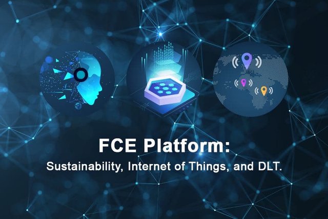 fce platform 1.jpg