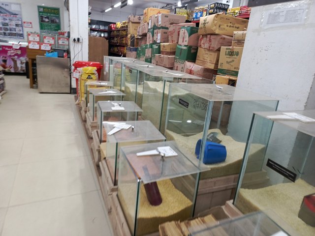 1000047316.jpg