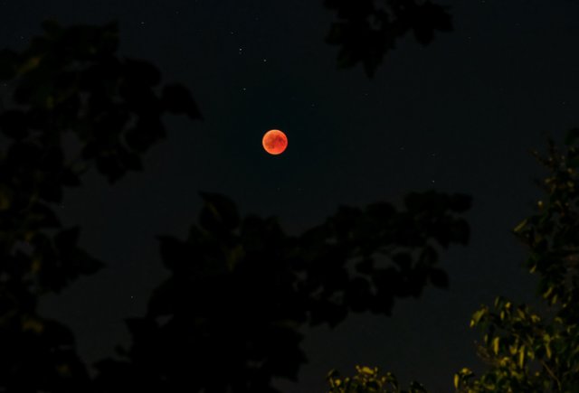 Bloody moon 2.jpg