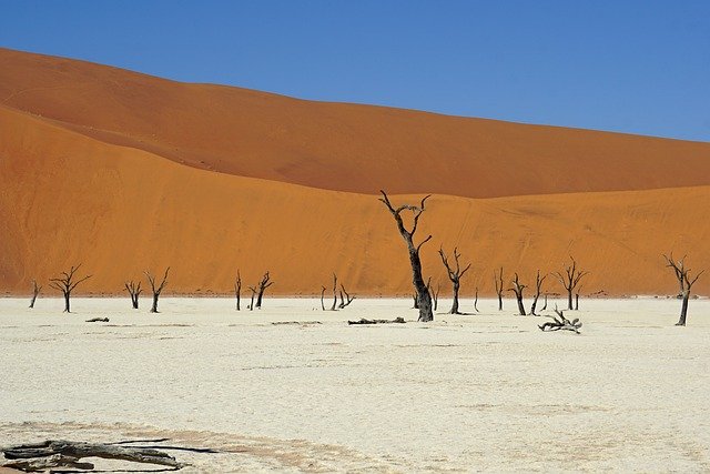 namibia-4916928_640.jpg