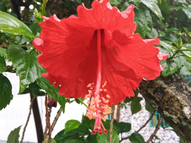 IMG_20250919_183500.jpg