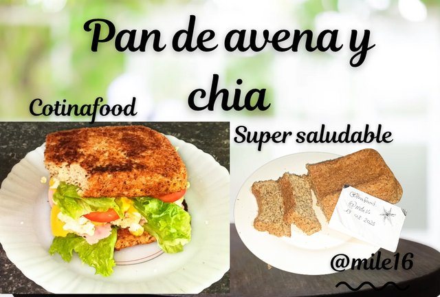 Pan de avena y chia_20250213_125619_0000.png