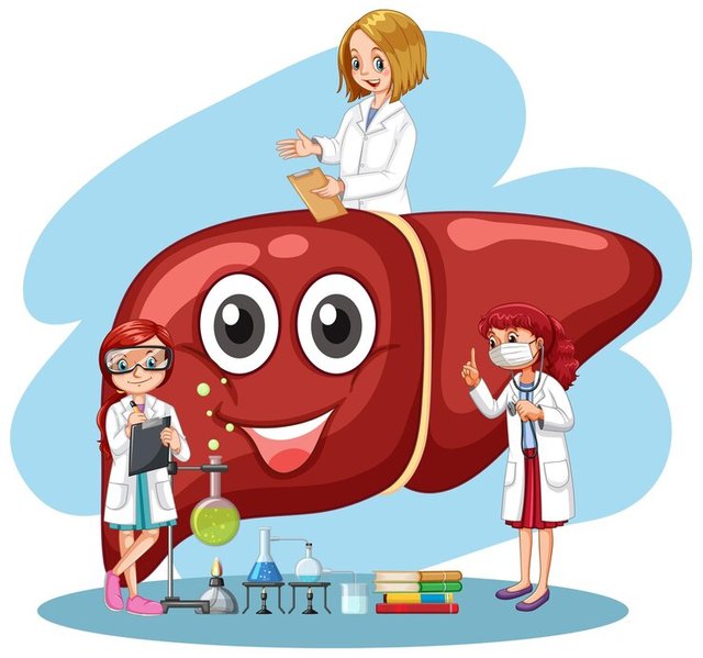 healthy-liver-cartoon-character-with-many-doctors_1308-104609.jpg