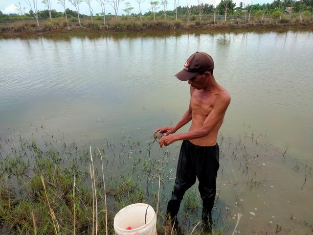 IMG20250713143939.jpg
