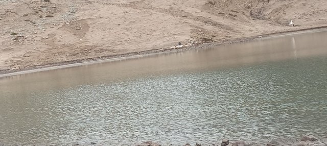 20250504_131335.jpg