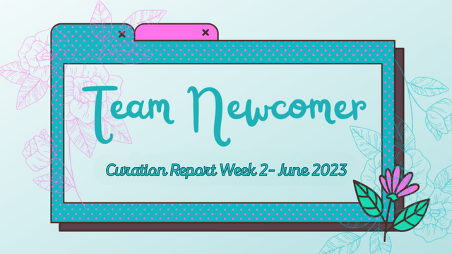 Team_Newcomer_week_2.png