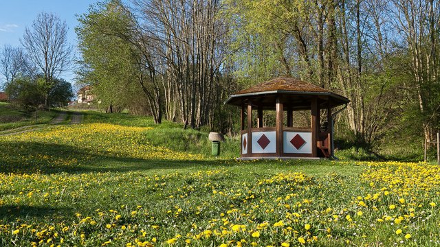 6992306110-a-meadow-underneath-the-castle-hanstein (FILEminimizer).jpg