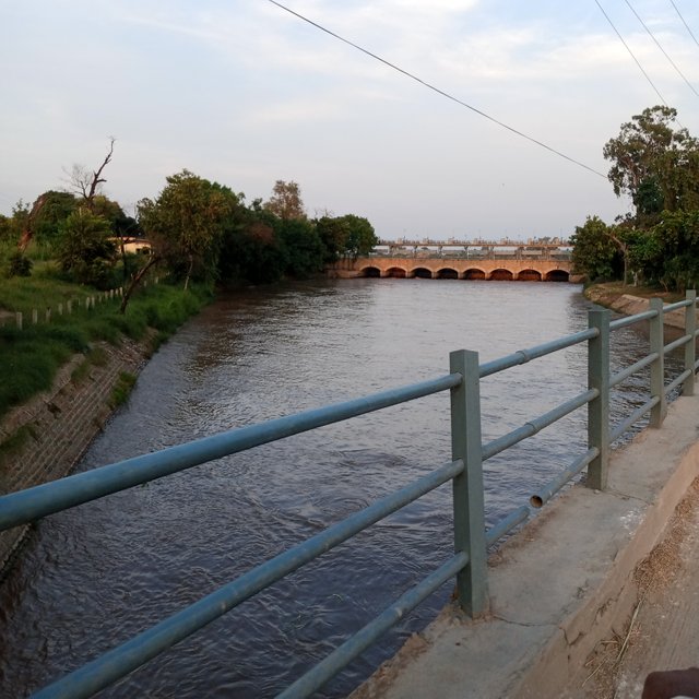 IMG_20250822_181613_816.jpg