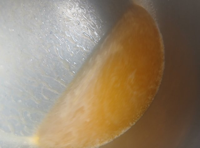 1002241435.jpg