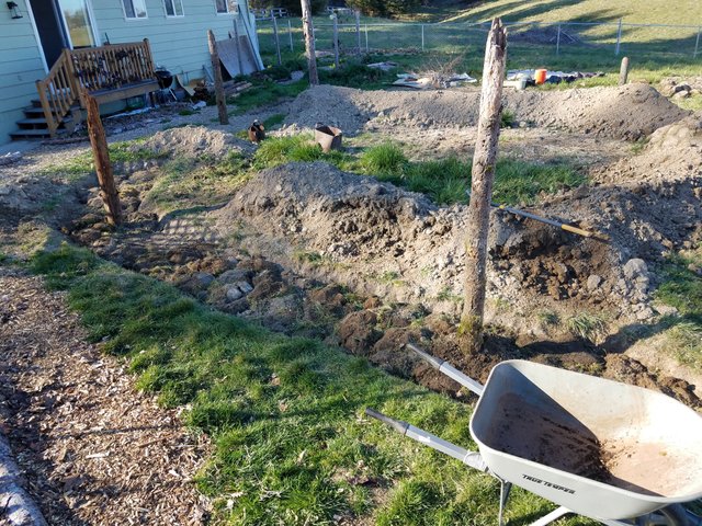 7 sod and soil added.jpg