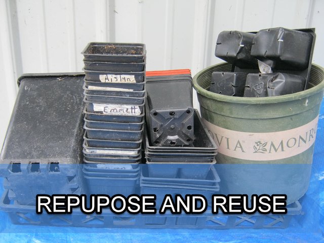 old pots with repurpose and reuse.JPG