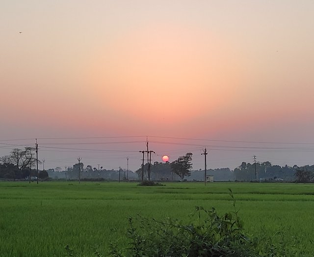 IMG_20250726_202640.jpg