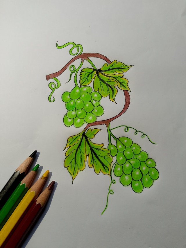 grapes .jpeg