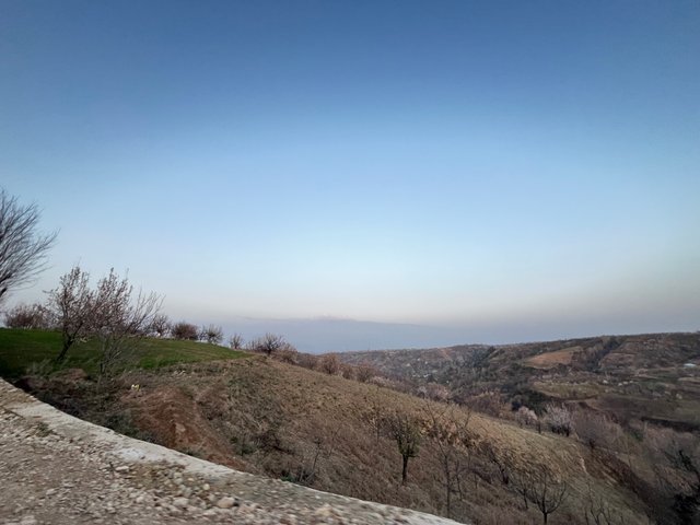 IMG_2986.jpeg