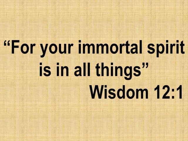 Spiritual teachings of the bible. For your immortal spirit is in all things. Wisdom 12,1.jpg