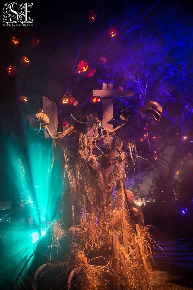 HHN-2018 (3).jpg