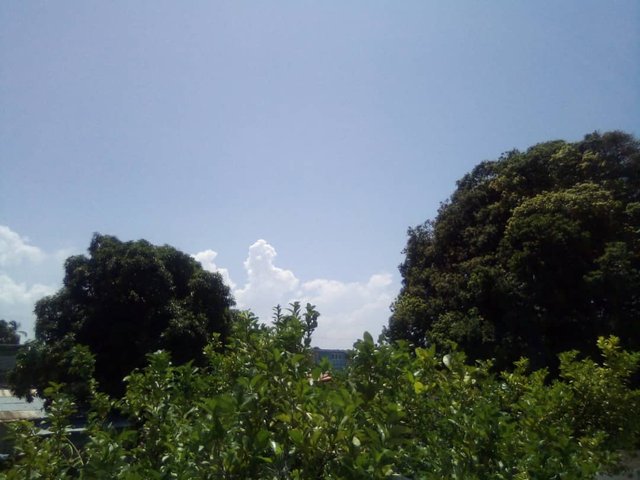 cielo2.jpg