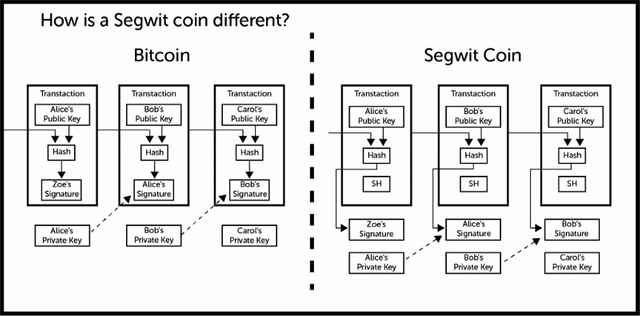 segwit.png