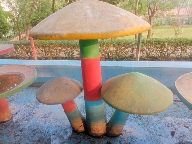IMG20250402170157.jpg