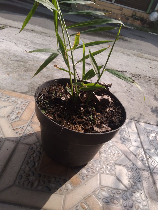 IMG20220427081507.jpg