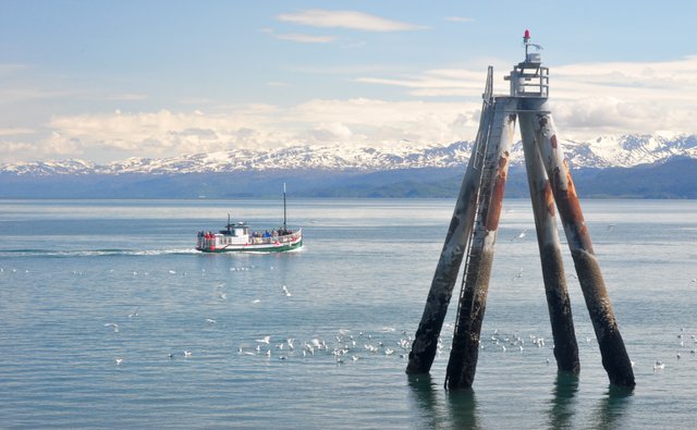 Old pier.JPG