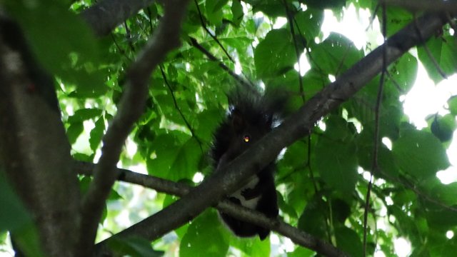 DSC00501.JPG