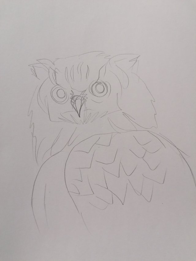 owl pen (2).jpg