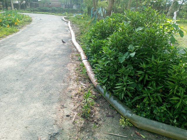 IMG_20250906_083230_278.jpg