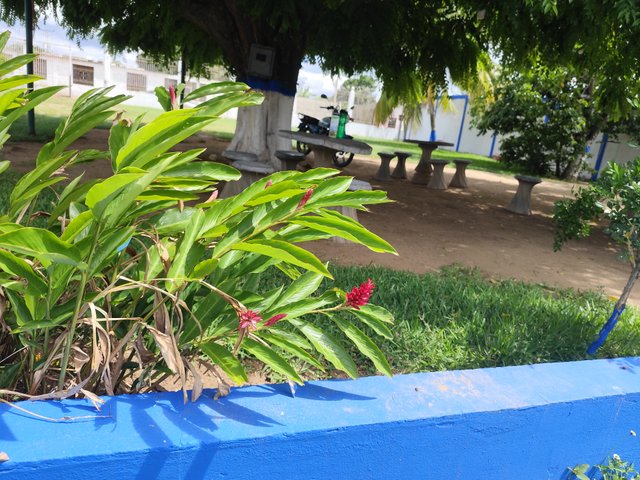 IMG_20250518_135145.jpg