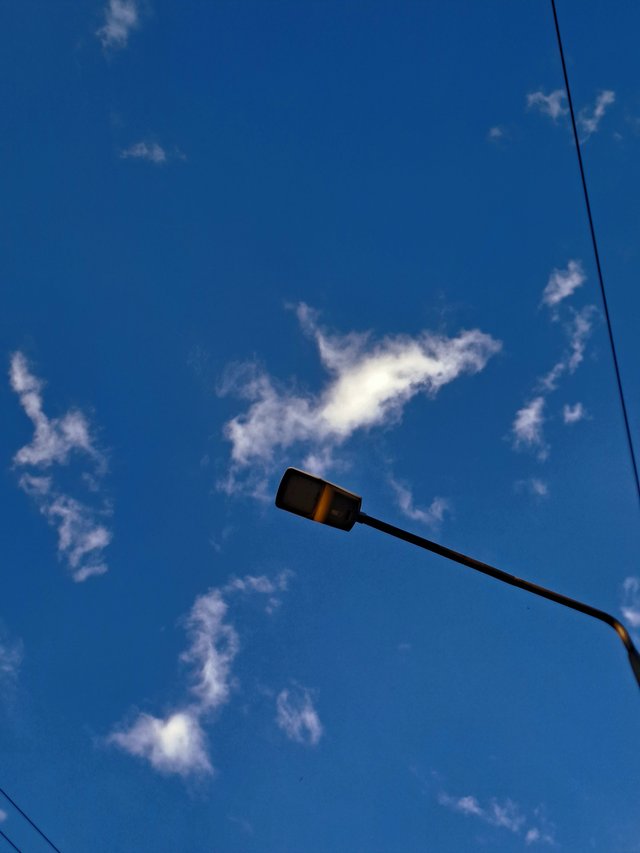 20250905_173902.jpg