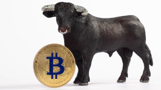 btc_bull_small.jpg