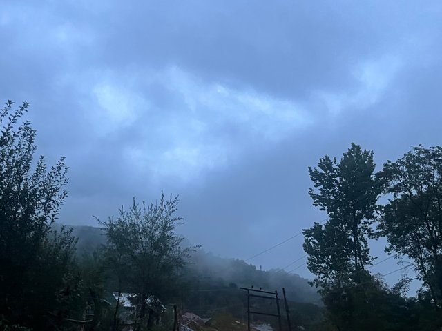 IMG_5094.jpeg