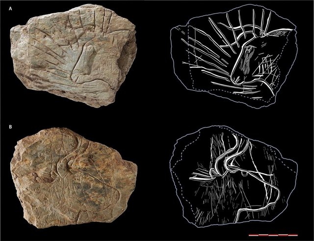 grabados-de-14000-anos-de-antiguedad-francia_c4cd2b67_1200x921.JPG