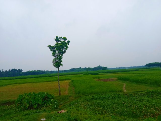 IMG_20250618_215914.jpg