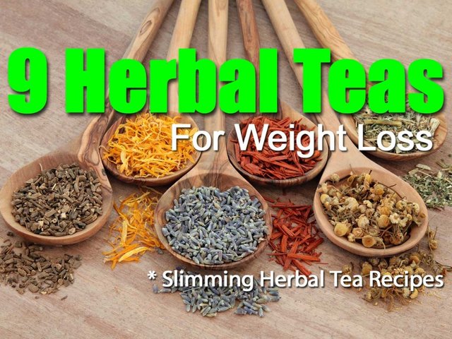 9-herbal-teas-weight-loss-1024x768.jpg