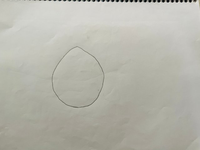IMG_0390.jpeg