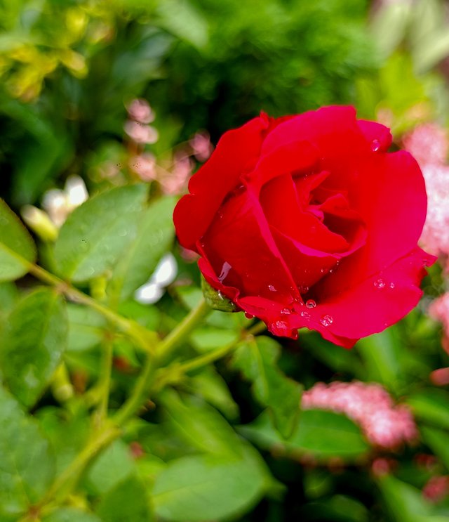 IMG20241023142201.jpg