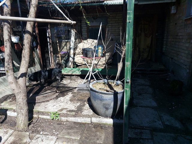 IMG_8602.jpeg