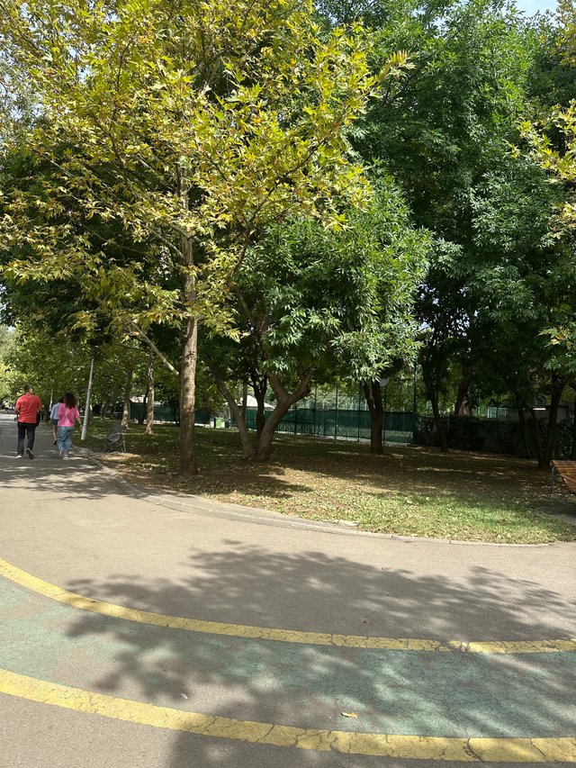 IMG_7380.jpeg