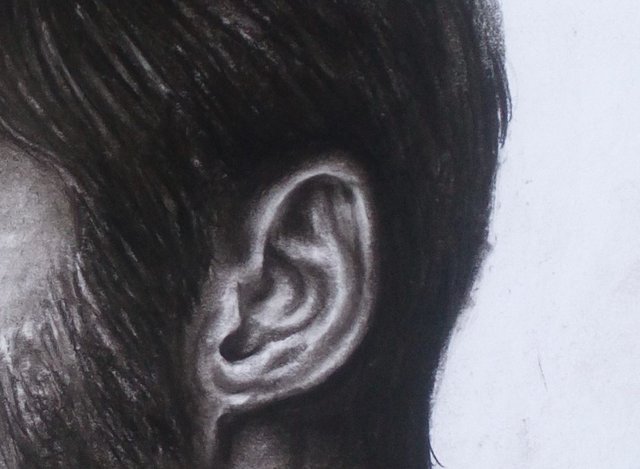 ear details.jpg