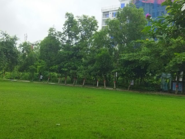 IMG_20250709_074254.jpg