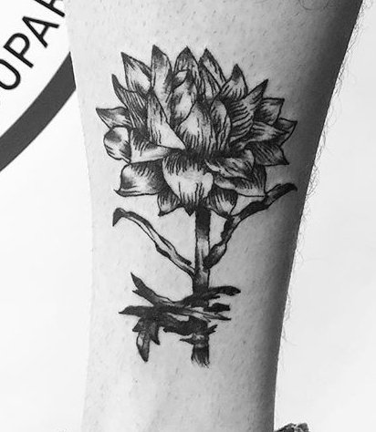 Pin de Cynara em cynara tattoo