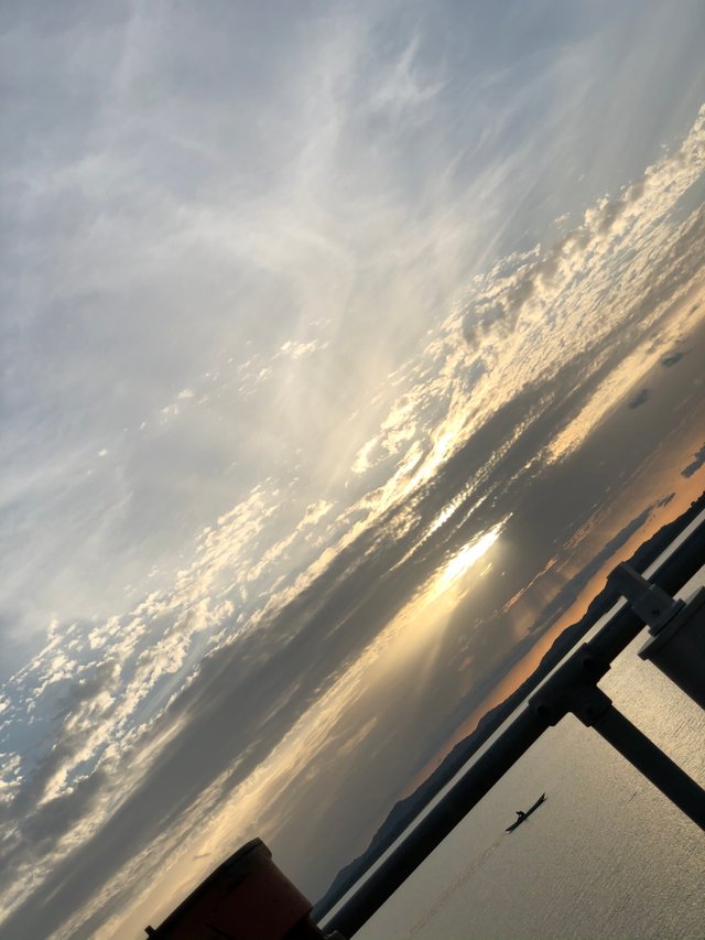 D0692869-1D45-4B36-AFBE-12D2A622336E.jpeg